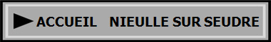 ACCUEIL    NIEULLE SUR SEUDRE